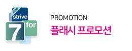 플래시프로모션